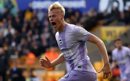 How to Livestream Brighton vs Newcastle Premier League Soccer from Anywhere