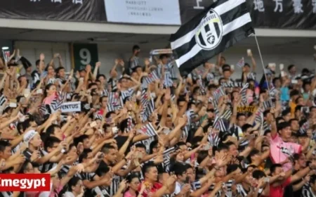 Juventus Sets Sights on Andrey Santos with Transfer Fee Revealed