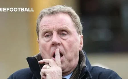 Harry Redknapp Delivers Verdict on Newcastle United