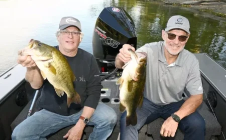 Fish Move from Spacious Tank to a Smaller Habitat