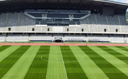 Universitatea Cluj Aims for Victory and 3 Points in Home Match Against FC Botoșani