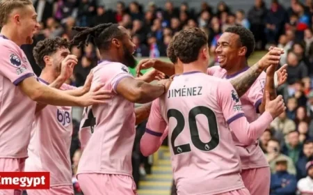 Eli Junior Kroupi Could Become Bournemouth’s First £80m Soccer Star Sensation