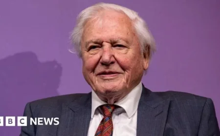 Sir David Attenborough becomes the oldest Daytime Emmy winner for Secret Lives of Orangutans