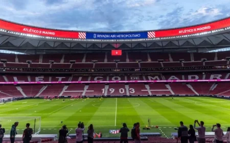 Discover the Highlights of Vía Metropolitano for Your Next Adventure