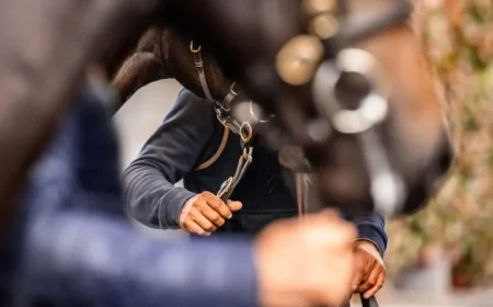 Goffs Autumn Horses In Training Catalog Spotlighted by Aga Khan Draft