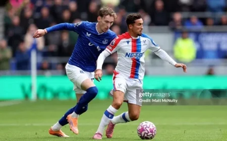 Andoni Iraola Evaluates the Potential of New Crystal Palace Forward