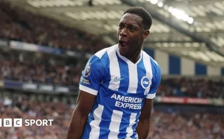 Danny Welbeck’s Dramatic Late Goal Seals Victory for Brighton Against Newcastle