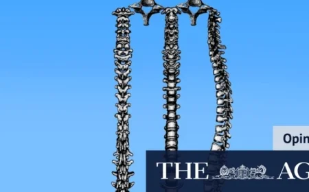 Discover Why Pat Cummins’ Ashes Impact Extends Beyond the Stats