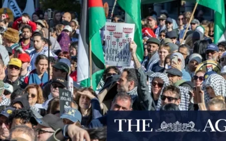 Sunday Ceasefire Announced Amid Pro-Palestine Protests