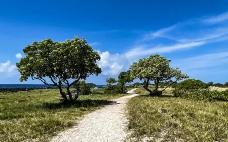 Hawaii County Weather Predictions for October 19 2025