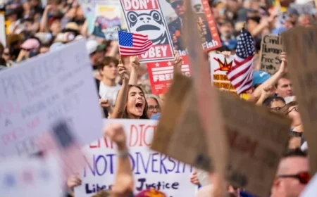 No More Trump in Sight