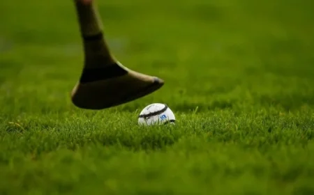 Murroe Boher Dominates to Claim Limerick Intermediate Championship Title