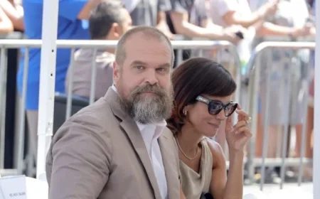 Lily Allen Hints at David Harbour’s Alleged Infidelity in Her Latest Song