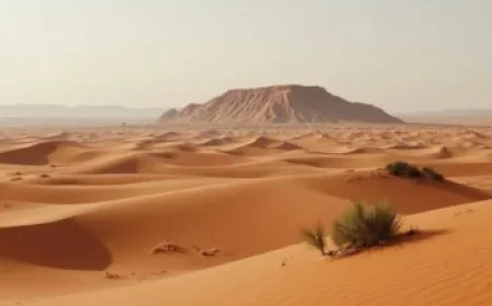 Discover How Rebecca Miller Slowly Influenced Martin Scorsese’s Vision