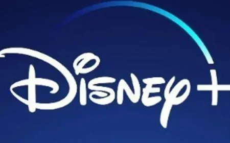 Disney+ Announces Major 2025 Lineup Changes: 2 Cancellations and 4 Renewals Revealed in Full Recap