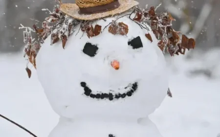 NOAA or Farmers Almanacs: Which Winter Forecast Will Prove Accurate?