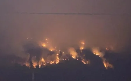 Firefighters in Action Battling Forest Blaze Near Domaine Morency