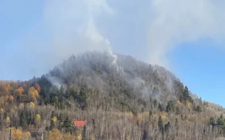 Domaine Morency Wildfire Successfully Contained