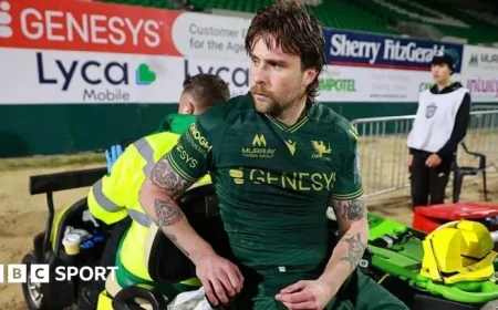 Mack Hansen Excluded from Ireland Autumn Internationals Squad