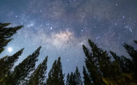 Discover the Astrological Significance of October’s New Moon in Libra