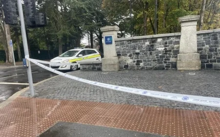Gardaí Detain Suspect After Alleged Dublin Girl Assault