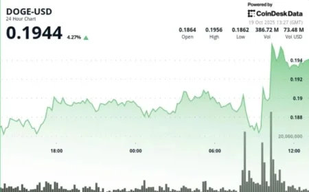 DOGE Steadies at $0.19 as Smart Investors Gather for Anticipated Breakout