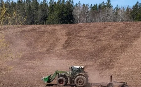 Rain relief brings hope for Maritime farmers battling drought conditions