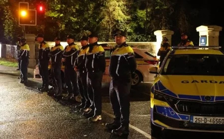 10-Year-Old Girl Allegedly Sexually Assaulted in West Dublin After Going Missing From Tusla Care