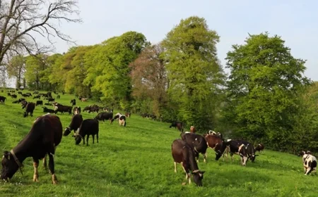 How to Ensure Your Autumn Home Closing Stays on Track