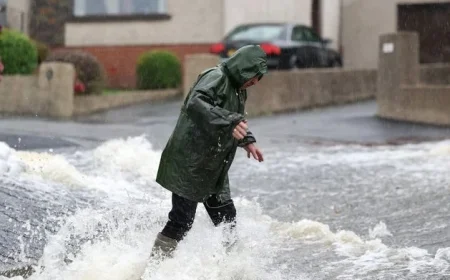 El Niño Weather Phenomenon Threatens to Permanently Alter Irish Winters with Potential Climate Whiplash