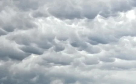 Weather Forecast for Oberá Misiones: Sunday October 19 2025 Climate Update