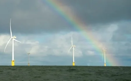 Electricity Levy Reduction Offers Small Relief for Households