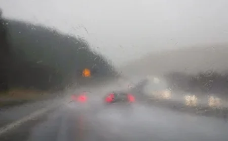 Beyond Meat Expands its Walmart Distribution Nationwide