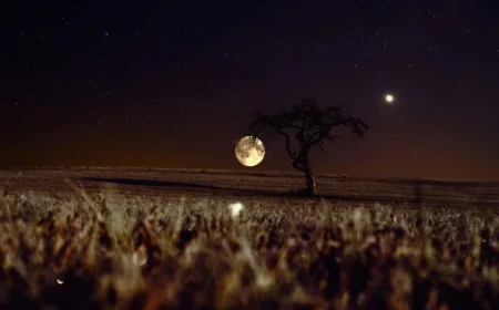 Astronomers Uncover Earth’s Hidden Duo of Moons