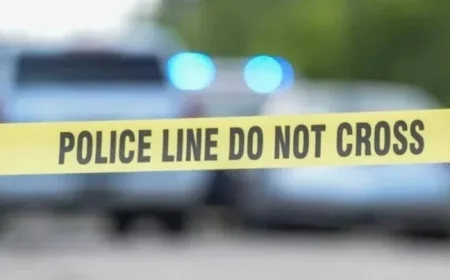 Tragic Plane Crash in Lafayette Parish Claims Three Lives According to Officials