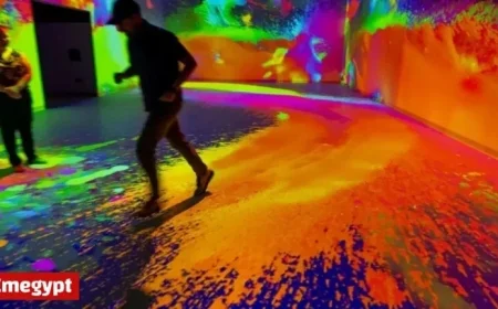 Strip Concept Interactive Entertainment Company Files for Bankruptcy