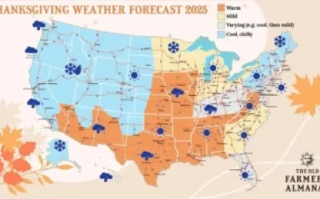 Comprehensive Game Day Guide for Stars vs Blue Jackets Showdown
