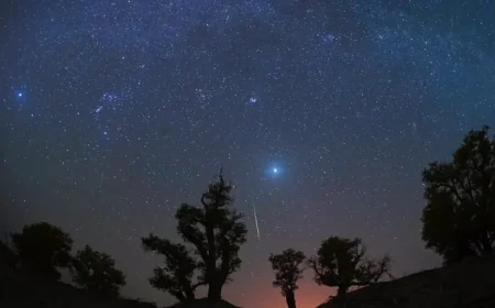 Ultimate Guide to Watching the Orionid Meteor Shower  What You Need to Know