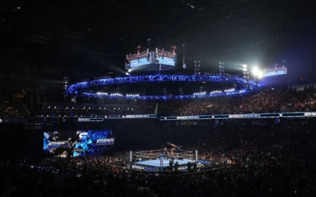 WWE Champion Faces Setback with Unexpected Injury