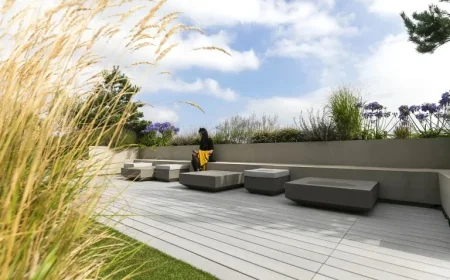 Engage with Sarah Thompson’s Insights in The Irish Times’ Special Report on Irish Exporters