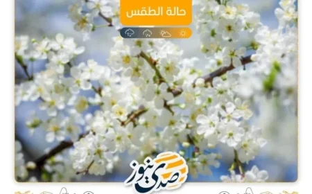 Discover Today’s Weather: From Partly Cloudy to Clear Skies