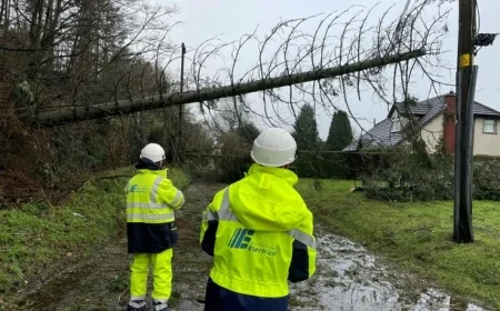 Storm Éowyn Review Advises Cancelling Public Events Amid Status Orange Wind Warnings