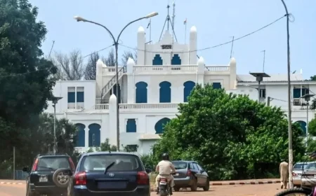 American Missionary Abducted in Niger by Suspected Islamist Militants Sources Report