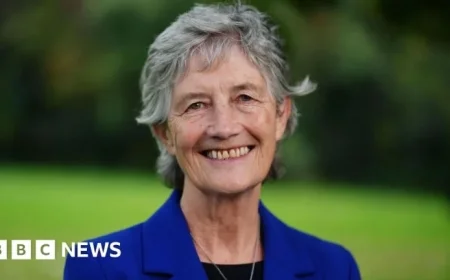 Catherine Connolly Denounces Disgraceful Deep-Fake AI Video