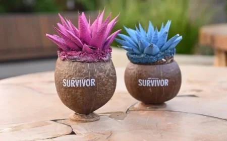 How to Stream Survivor Season 49 Episode 5 for Free Today