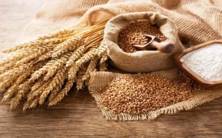 Algeria Wins Big with 600,000 Ton Milling Wheat Purchase in Global Tender