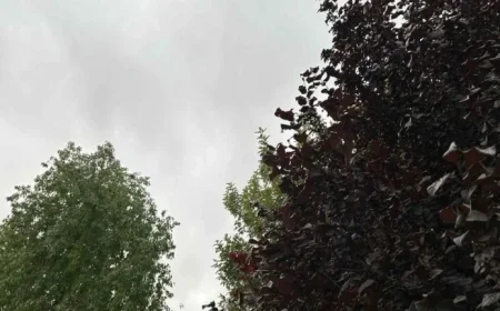 Las Vegas Area Braces for Showers and Thunderstorms