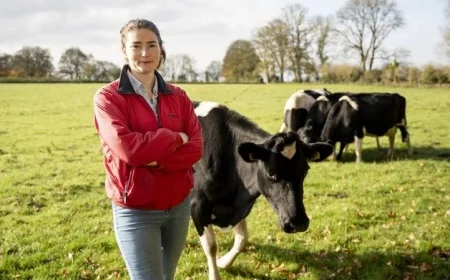 Best Ways to Invest Surplus Cash: Maria Steen Handbag, New Cow, or Renewable Energy?