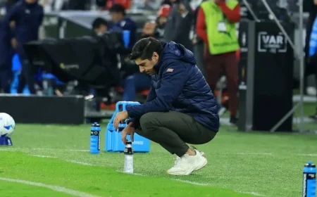 Discover What Palmeiras Needs to Reach the 2025 Libertadores Final