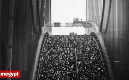 NYC Marathon Prepares for Final Countdown